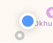 iOS map pin in Swift is an image of white circle with a blue inner circle