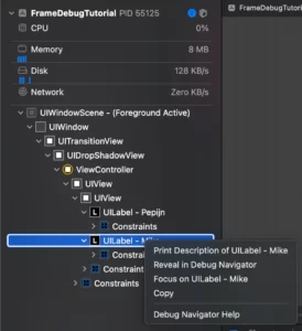 Xcode Frame Debug image 5 example