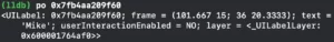 Xcode Frame Debug image 7 console result example 2