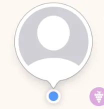 default user callout bubble in iOS swift development how to remove the default annotation example image