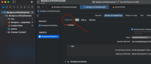 New BackgroundTask in SwiftUI and How to Test It capability example part 1