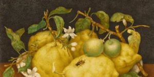 how to Learn to invert or mirror views in SwiftUI with simple scaleEffect techniques for creative and interactive UI designs